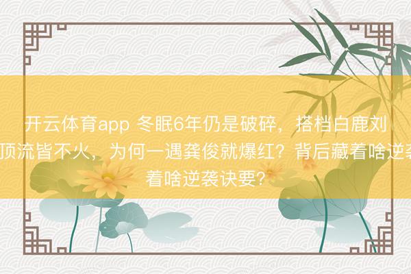 开云体育app 冬眠6年仍是破碎,搭档白鹿刘诗诗等顶流皆不火,为何一遇龚俊就爆红?背后藏着啥逆袭诀要?