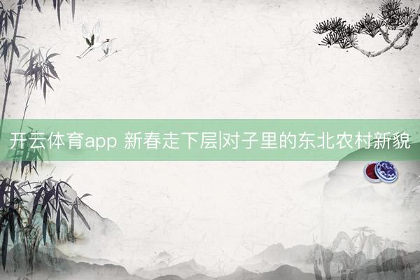 开云体育app 新春走下层|对子里的东北农村新貌