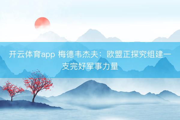 开云体育app 梅德韦杰夫:欧盟正探究组建一支完好军事力量