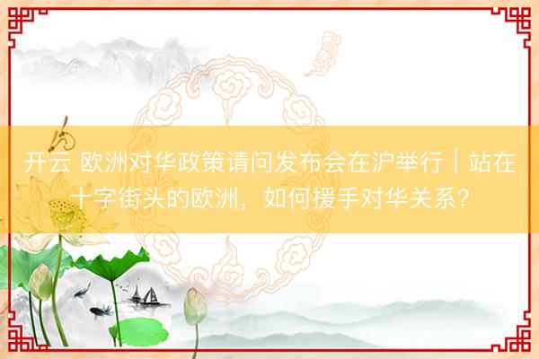 开云 欧洲对华政策请问发布会在沪举行|站在十字街头的欧洲,如何援手对华关系?