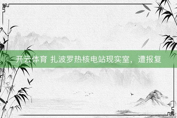 开云体育 扎波罗热核电站现实室，遭报复