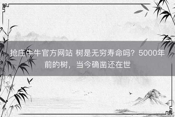抢庄牛牛官方网站 树是无穷寿命吗？5000年前的树，当今确凿还在世